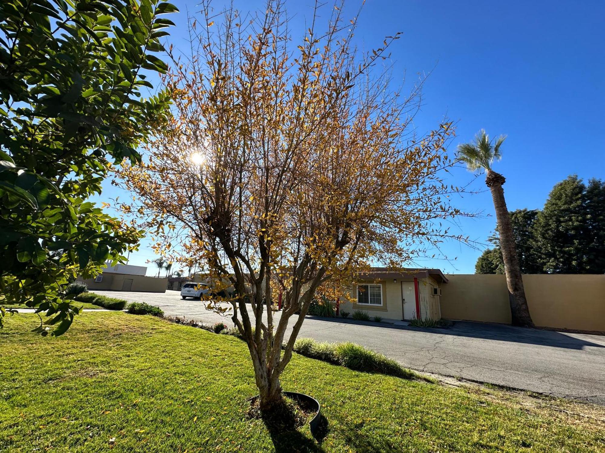 Royal Inn And Suites Hemet Exterior foto